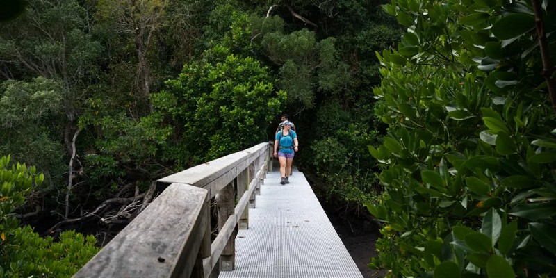 aussiebucketlist.com.au - Ngaro Track - 8