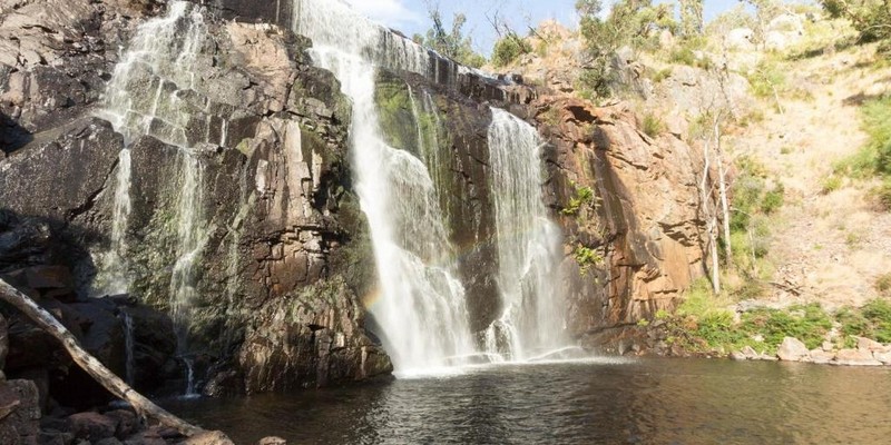 aussiebucketlist.com.au - Bushland Country Homestay - 7