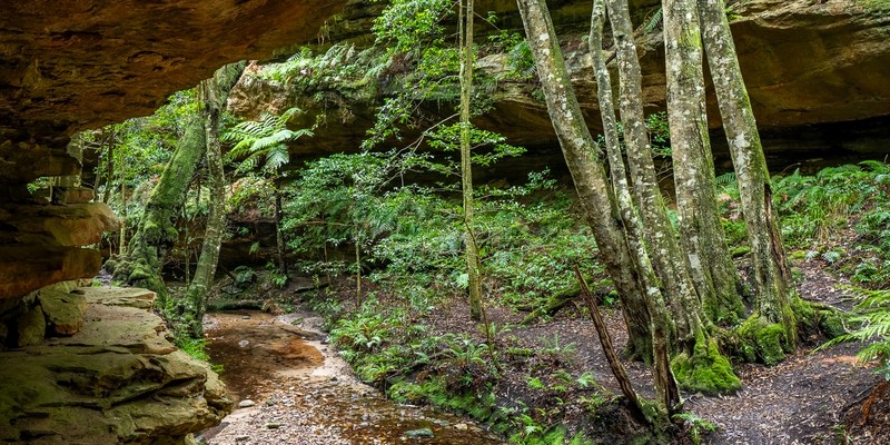 aussiebucketlist.com.au - Dalpura Canyon - 3
