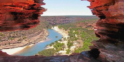 Nature's Window