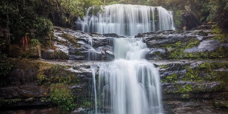 aussiebucketlist.com.au - Liffey Falls  - 2