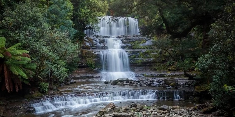 aussiebucketlist.com.au - Liffey Falls  - 3