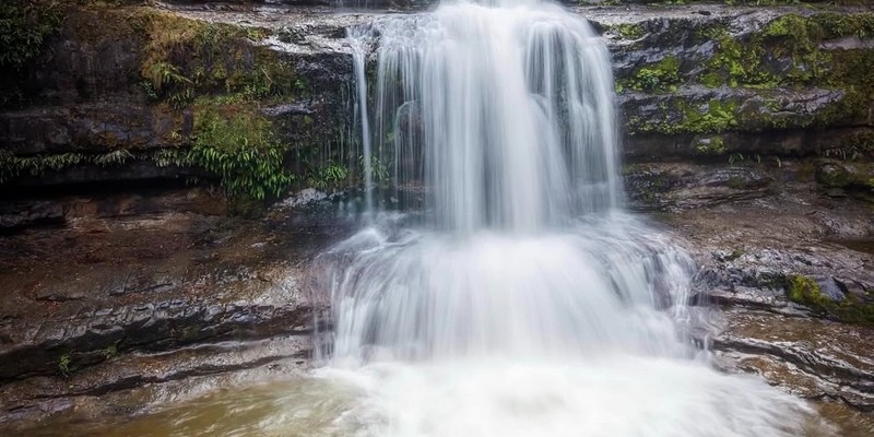 aussiebucketlist.com.au - Liffey Falls  - 5