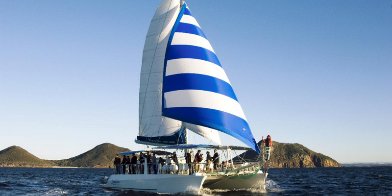 aussiebucketlist.com.au - Nelson Bay 3 Hour Whale Watch Cruise - 3