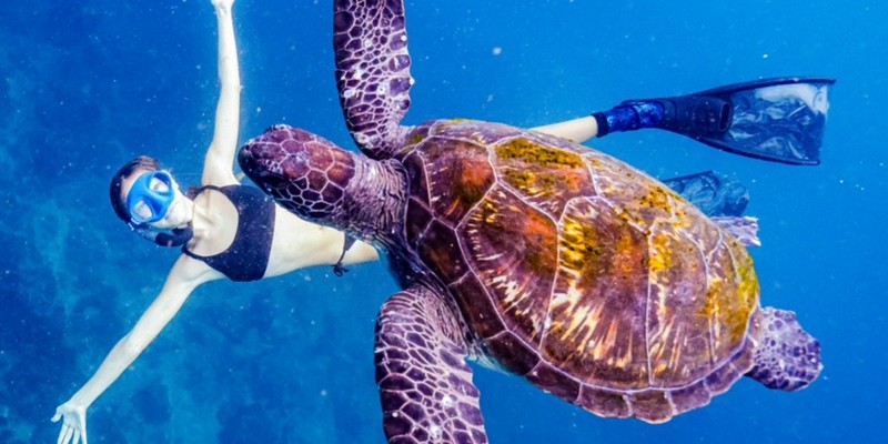 aussiebucketlist.com.au - Julian Rocks Snorkel Tour - 1