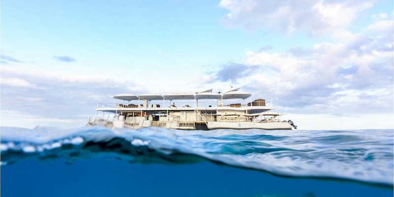 aussiebucketlist.com.au - LADY MUSGRAVE ISLAND PONTOON & SNORKELLING FULL DAY TOUR - DEPARTING BUNDABERG - 6