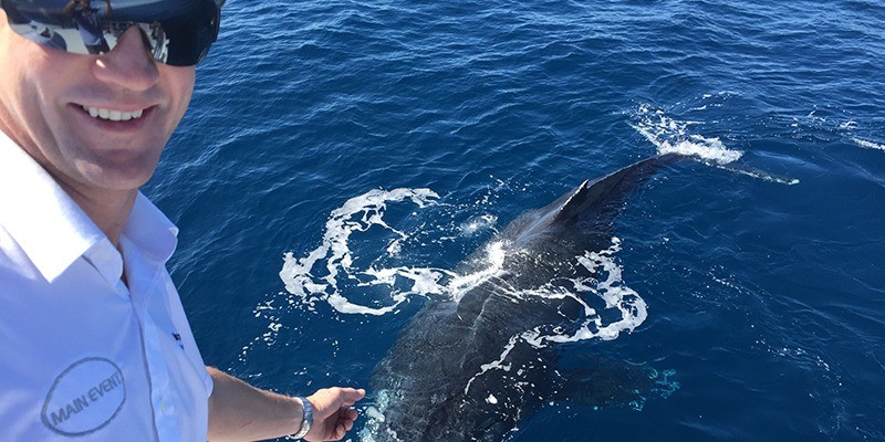 aussiebucketlist.com.au - BUNDABERG WHALE WATCHING HALF DAY TOUR  - 1