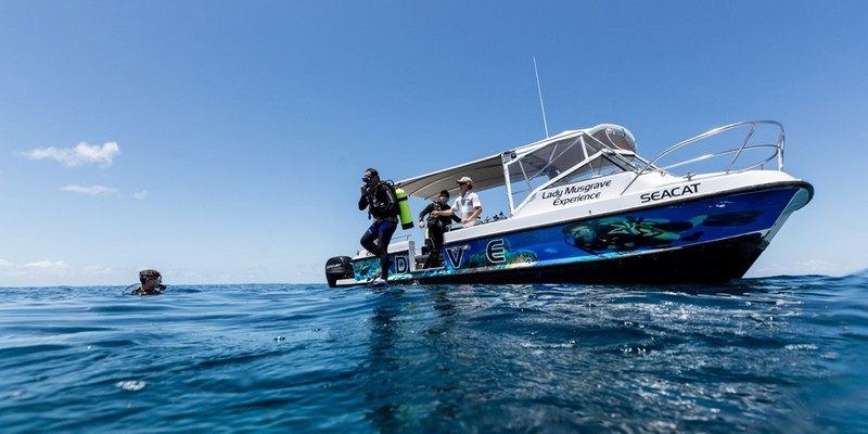 aussiebucketlist.com.au - OUTER REEF LADY MUSGRAVE DOUBLE TANK DIVES - 2