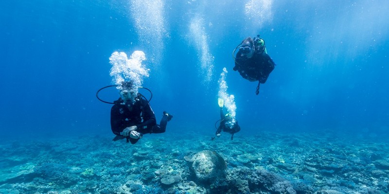aussiebucketlist.com.au - OUTER REEF LADY MUSGRAVE DOUBLE TANK DIVES - 4