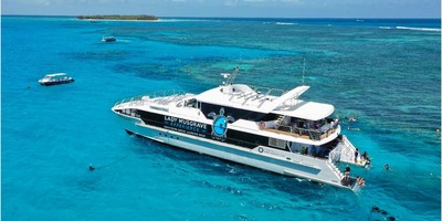 VIP Lady Musgrave Island, Pontoon and Snorkelling Full Day Tour