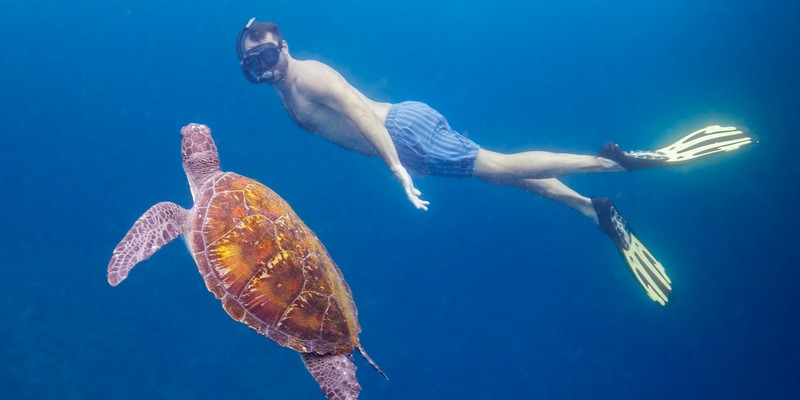 aussiebucketlist.com.au - Julian Rocks Snorkel Tour - 2