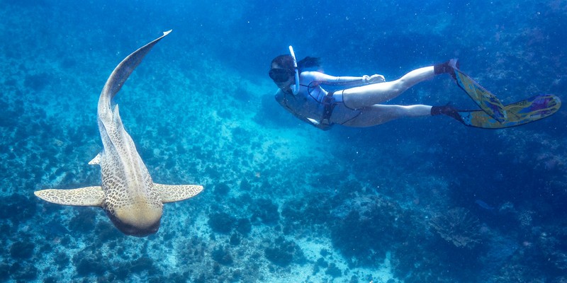 aussiebucketlist.com.au - Julian Rocks Snorkel Tour - 3