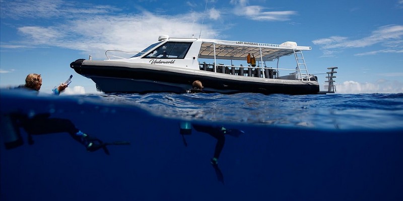 aussiebucketlist.com.au - Outer Great Lady Musgrave Double Tank Dives - 2