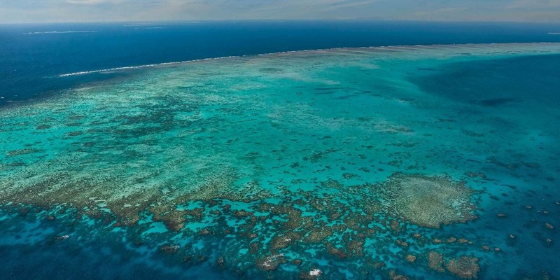 aussiebucketlist.com.au - Fly & Cruise Green Island Full Day Tour - 4
