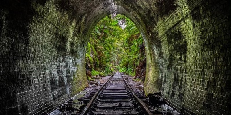 aussiebucketlist.com.au - Helensburgh Glow Worm Tunnel - 3