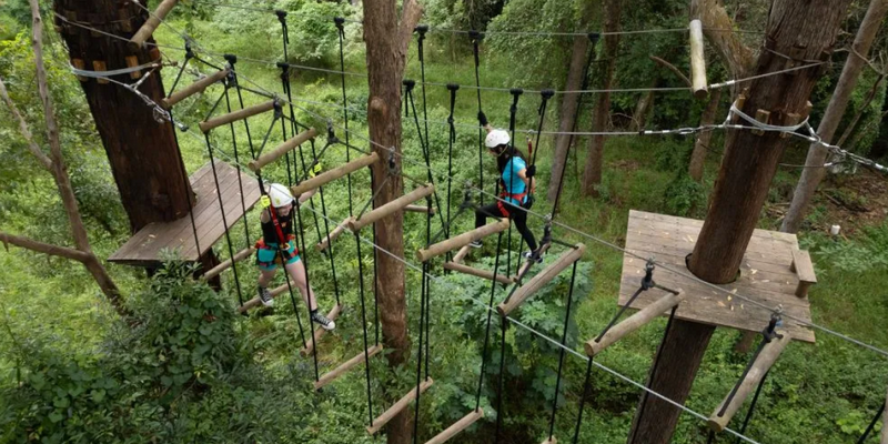 aussiebucketlist.com.au - Sunshine Coast High Ropes and Zipline Adventure - 3