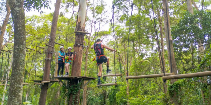 aussiebucketlist.com.au - Sunshine Coast High Ropes and Zipline Adventure - 4