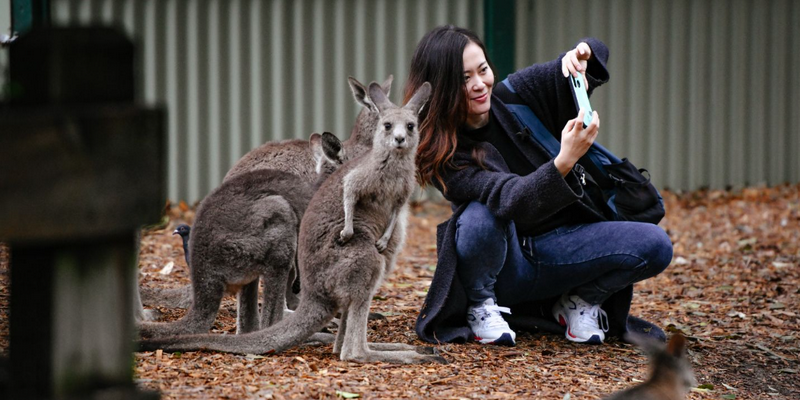 aussiebucketlist.com.au - Blue Mountains All Inclusive Small Group Tour - 8