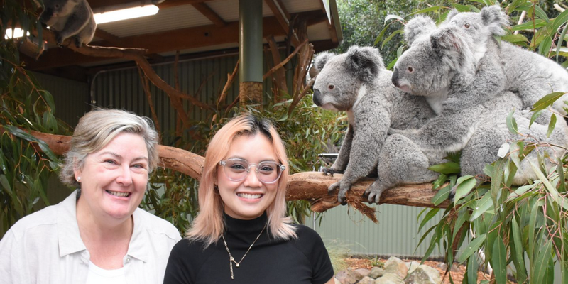 aussiebucketlist.com.au - Blue Mountains All Inclusive Small Group Tour - 9