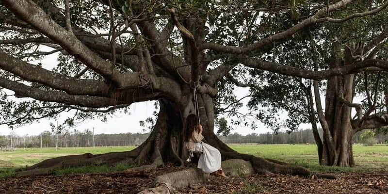 aussiebucketlist.com.au - What's Beyond The Mile - 6