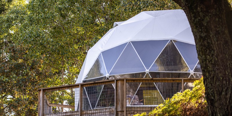 aussiebucketlist.com.au - Gleneagle Estate Geodesic Dome Stay - 12