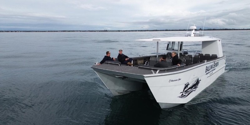 aussiebucketlist.com.au - Whale Watching Tour Ballina - Byron - 4