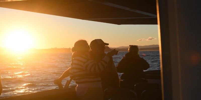 aussiebucketlist.com.au - Whale Watching Tour Ballina - Byron - 5