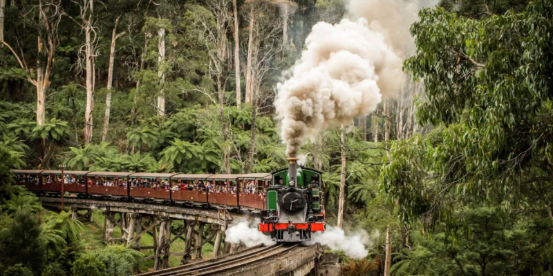 aussiebucketlist.com.au - Puffing Billy Heritage Steam Train Experience - 1