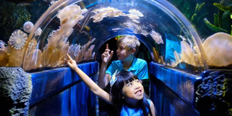 aussiebucketlist.com.au - SEA LIFE Melbourne Aquarium - 1