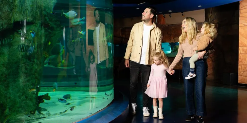 aussiebucketlist.com.au - SEA LIFE Melbourne Aquarium - 2