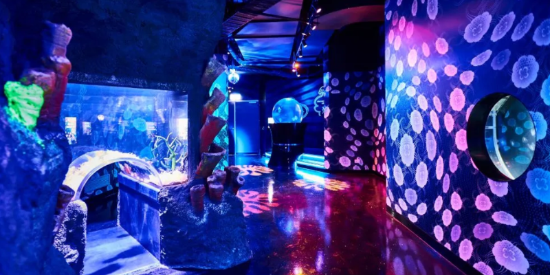 aussiebucketlist.com.au - SEA LIFE Melbourne Aquarium - 4