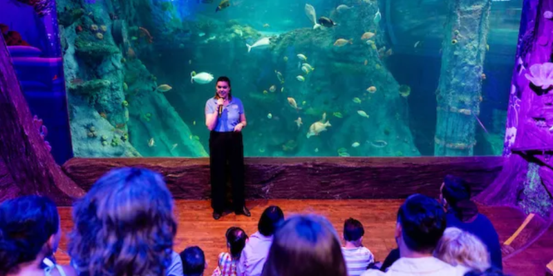 aussiebucketlist.com.au - SEA LIFE Melbourne Aquarium - 10