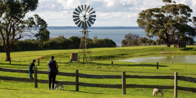 aussiebucketlist.com.au - Phillip Island Nature Parks Multi Park Pass - 5