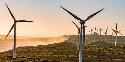 Albany Wind Farm