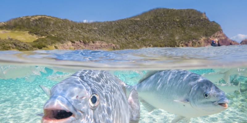 aussiebucketlist.com.au - Ned's Beach - 3