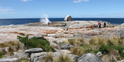 Bicheno Blowhole