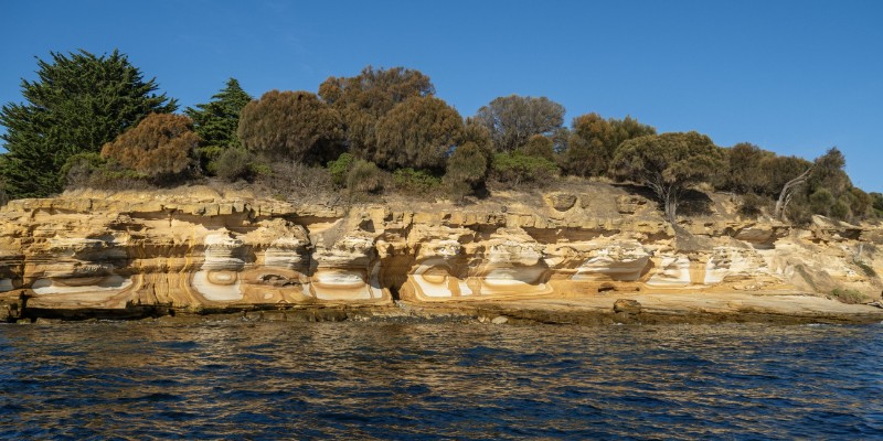 aussiebucketlist.com.au - Maria Island National Park - 4