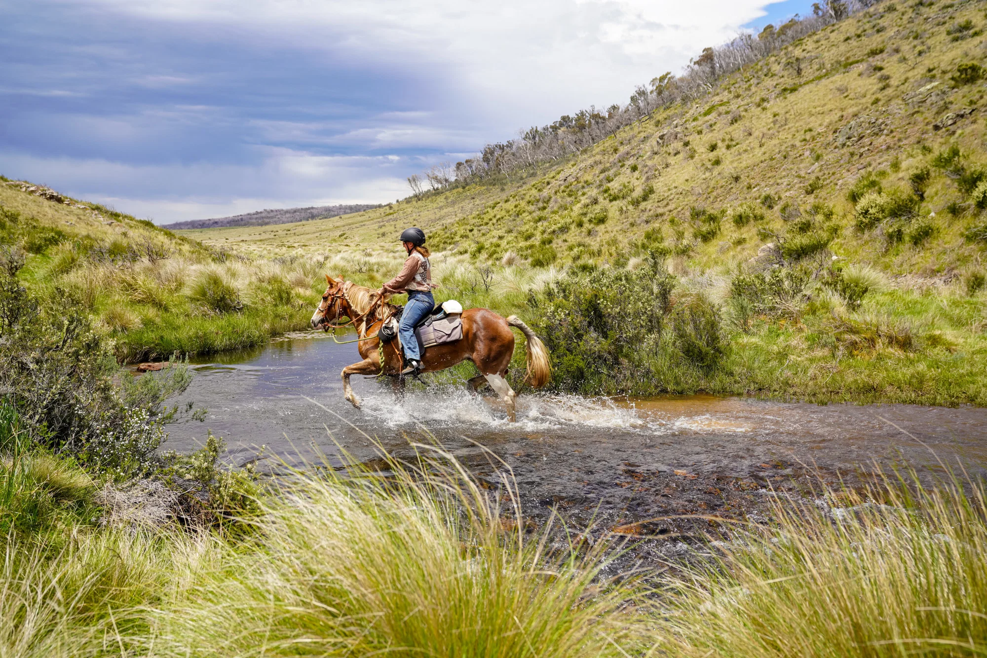 Globetrotting Snowy River Horse Ride