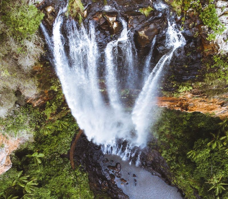 Purlingbrook Falls, Gold Coast Hinterland