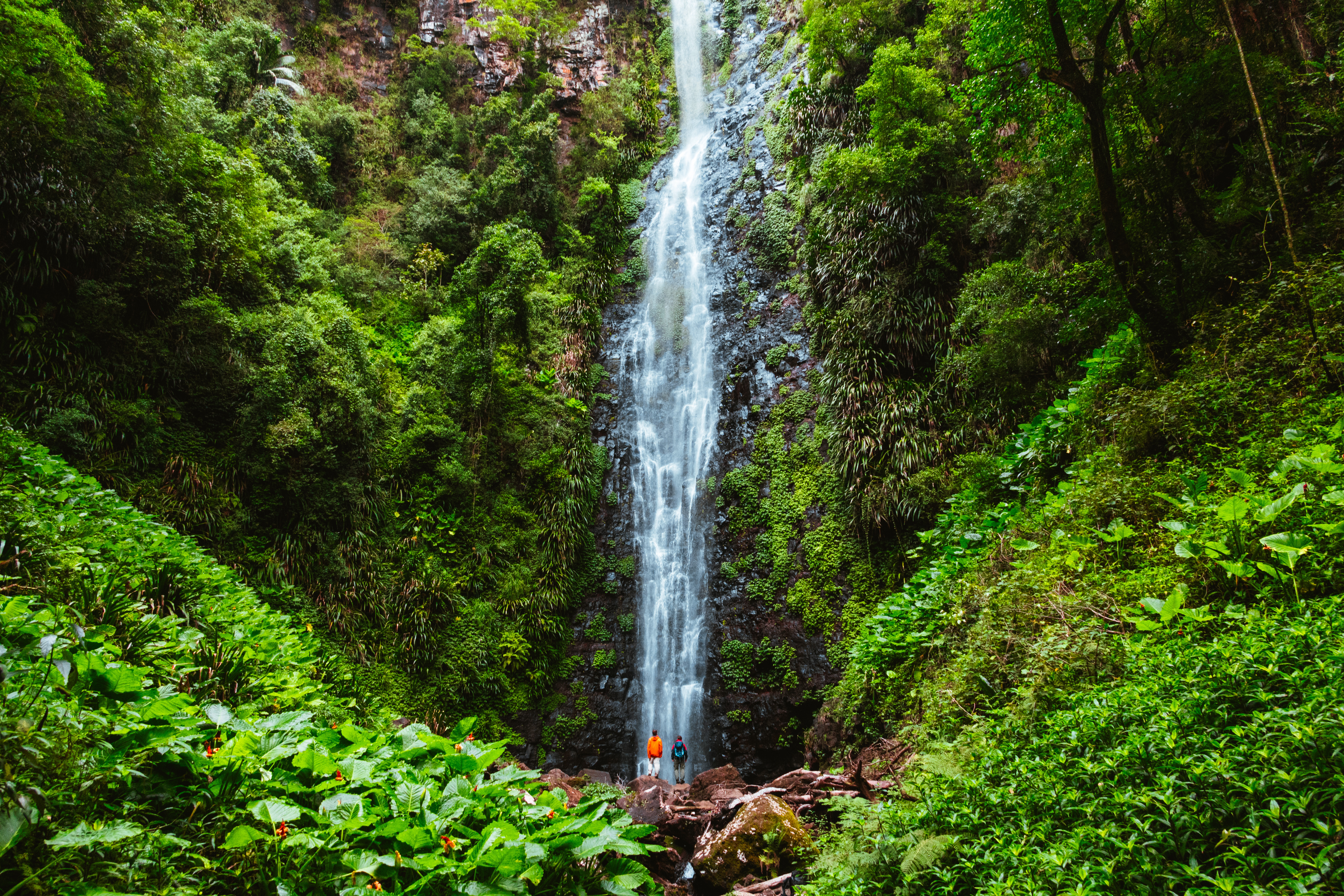 Larapinta Falls, Queensland