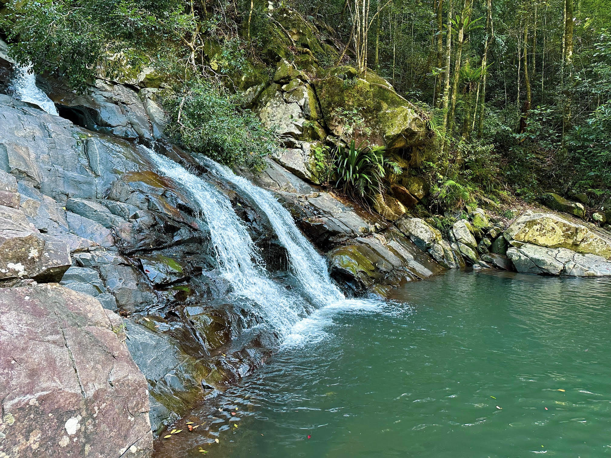 Cougal Cascades, Gold Coast