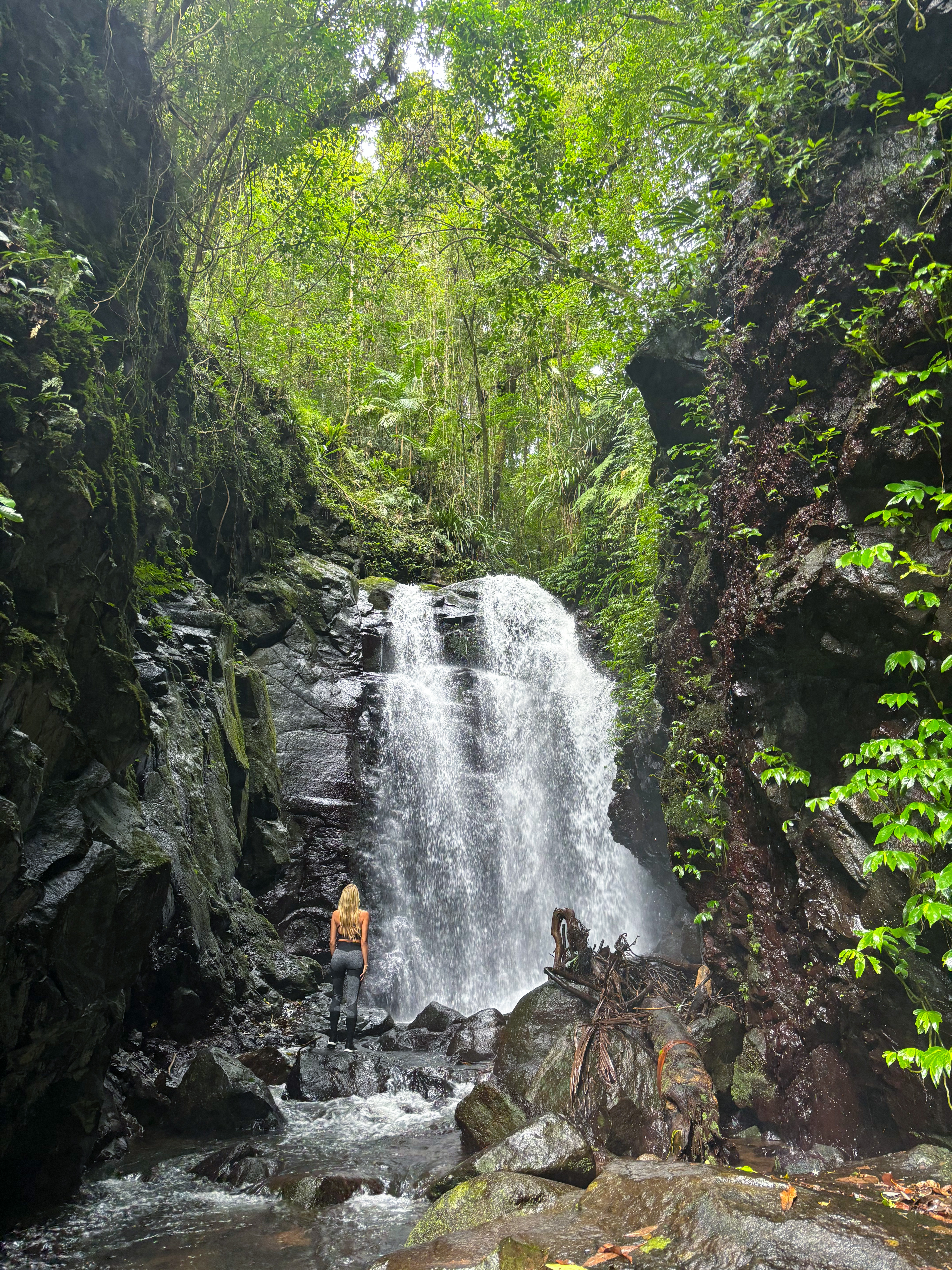 Box Log Falls, Lamington National Park, Gold Coast
