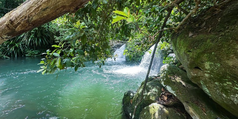 Evans Falls, Northern NSW