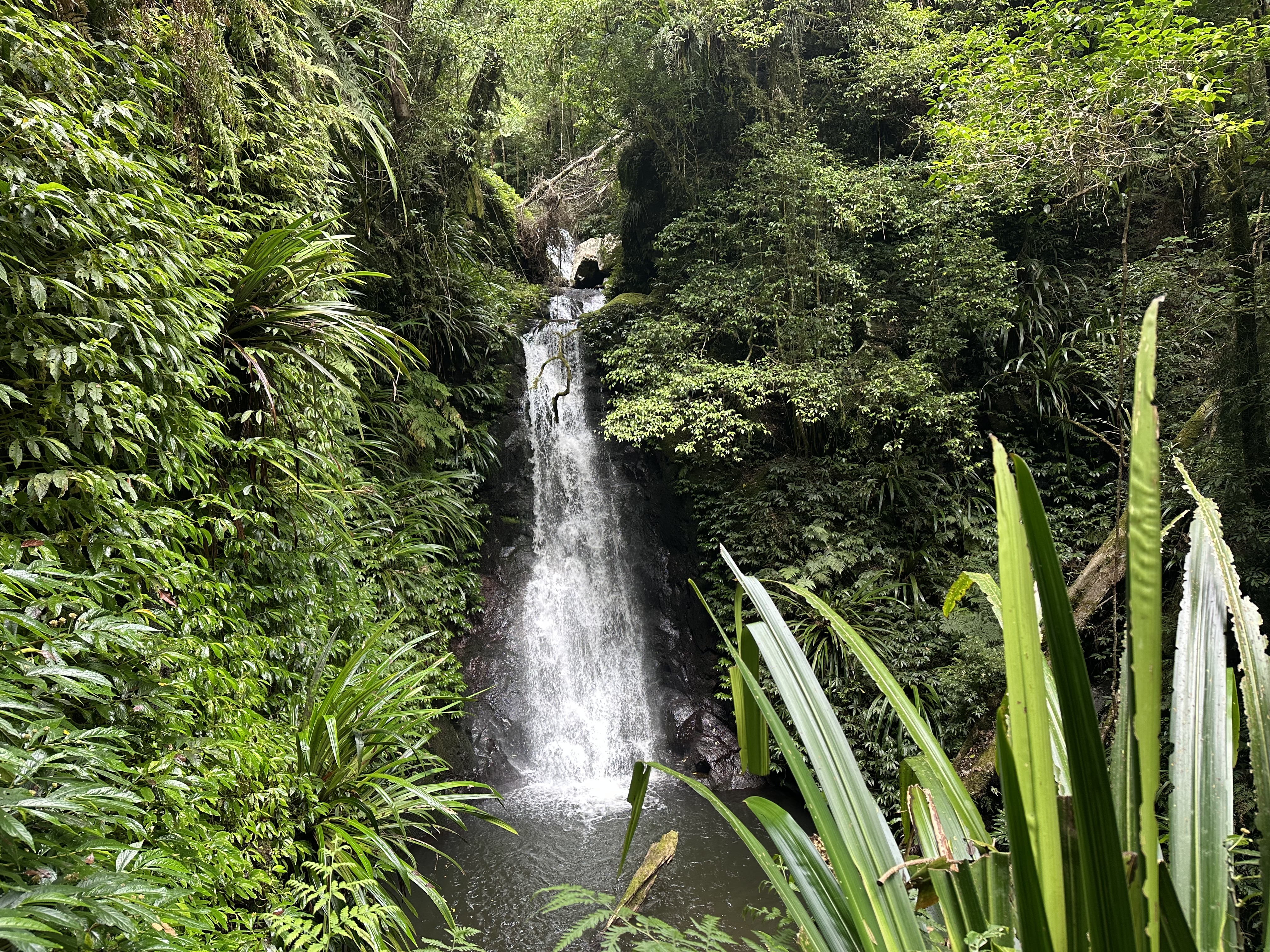 Toolona Falls
