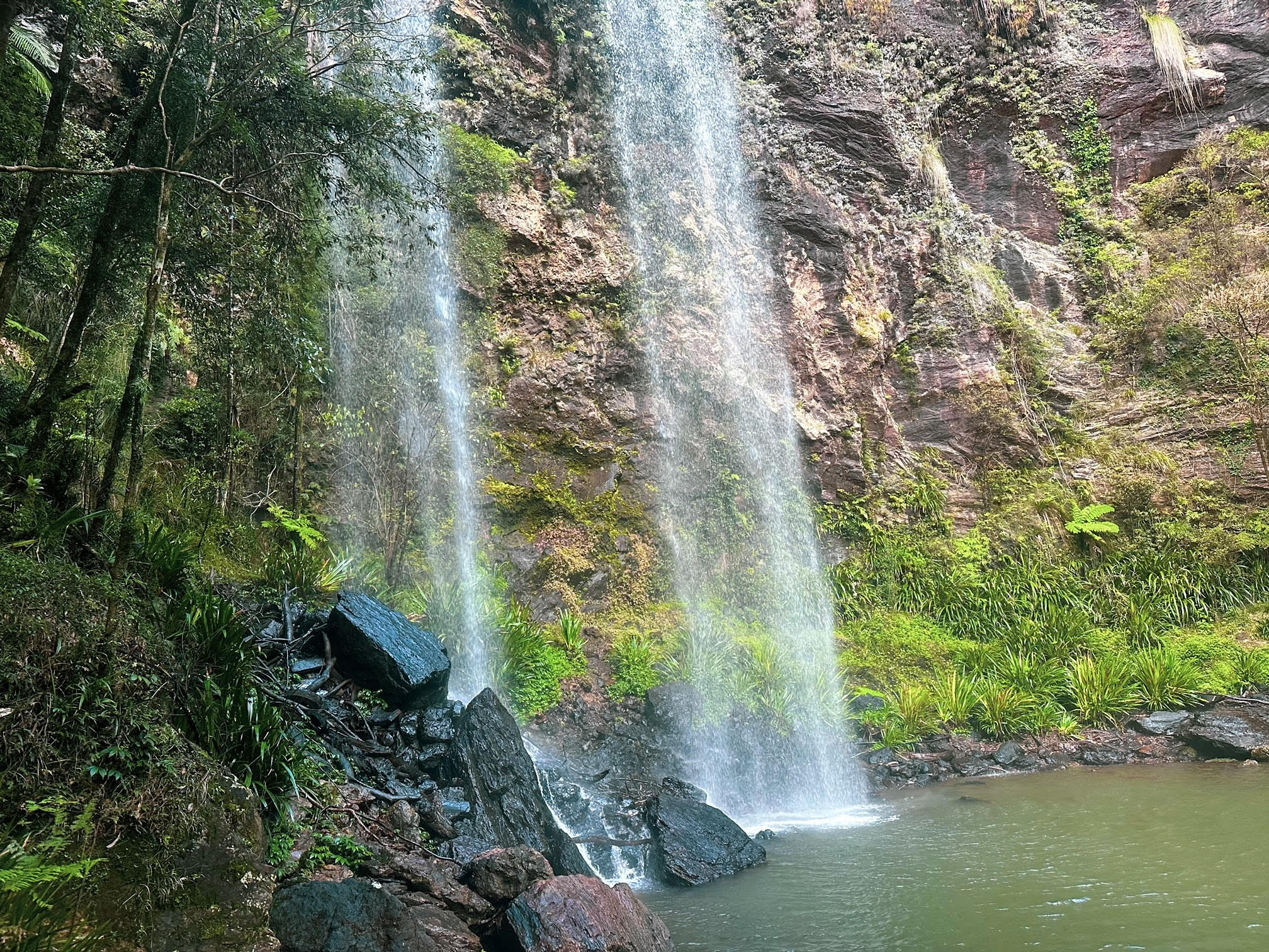 Twin Falls Circuit, Springbrook National Park Queensland
